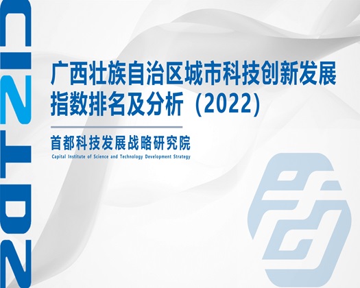 日批用力插用力夺视频【成果发布】广西壮族自治区城市科技创新发展指数排名及分析（2022）